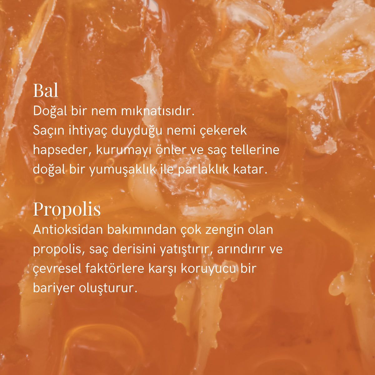 S&C Natural Bal ve Propolis İçeren Şampuan